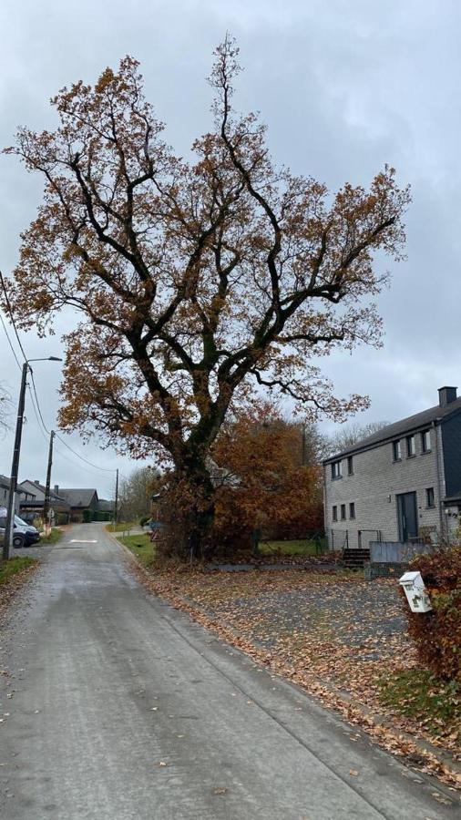 Le Gite Du Vieux Chene Bertogne Extérieur photo