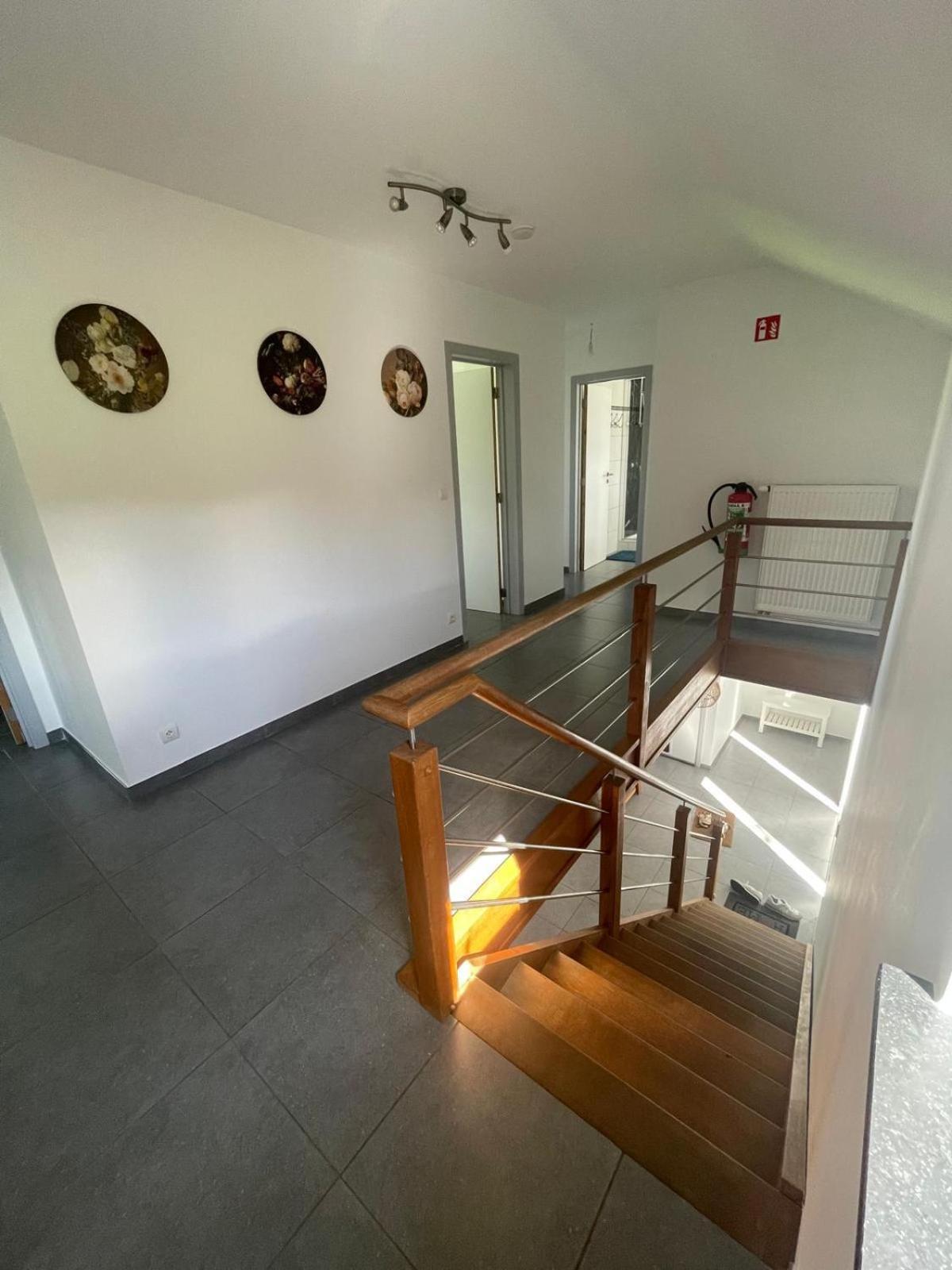 Le Gite Du Vieux Chene Bertogne Extérieur photo