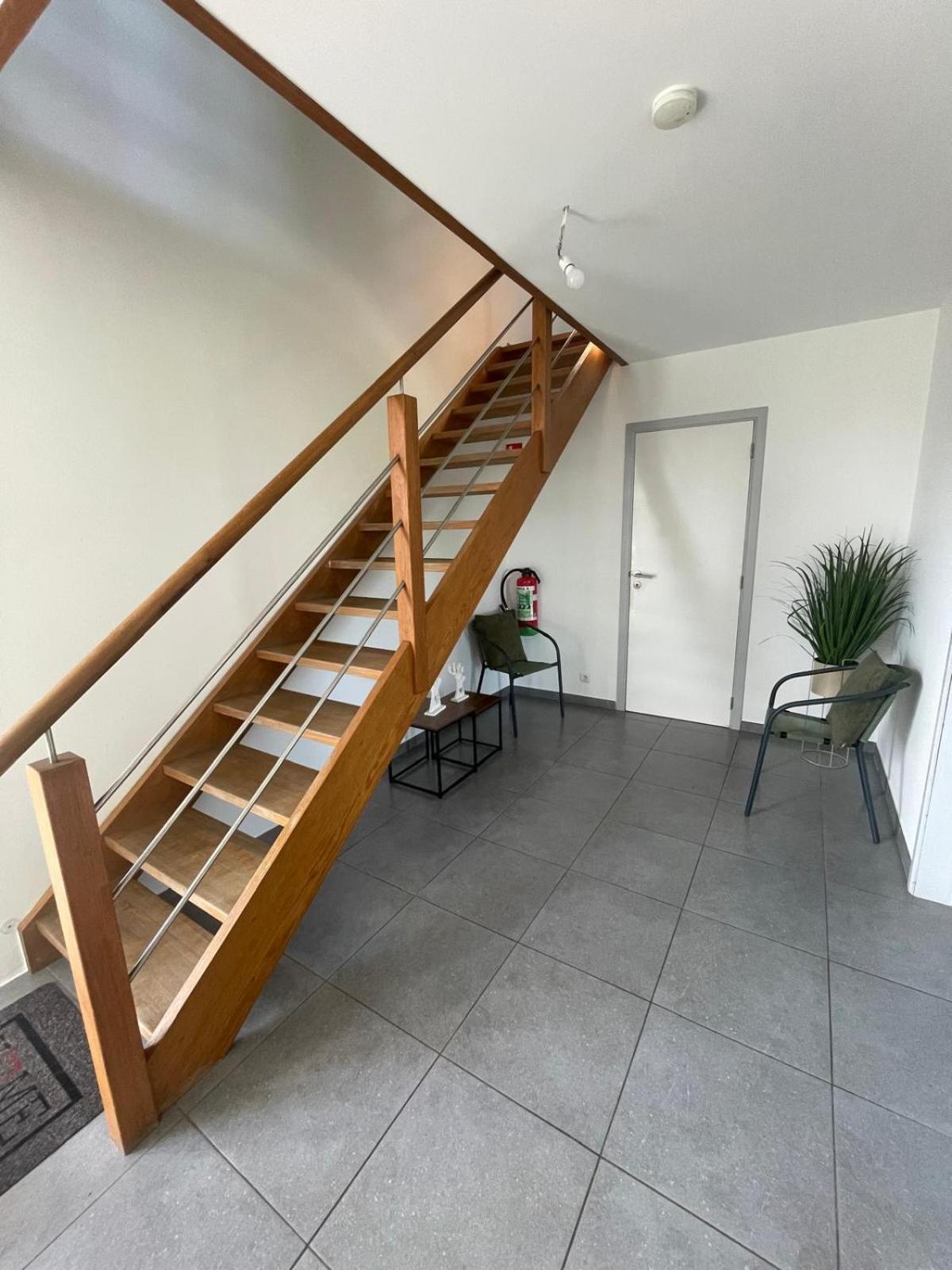 Le Gite Du Vieux Chene Bertogne Extérieur photo